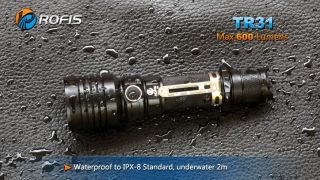 Rofis TR31