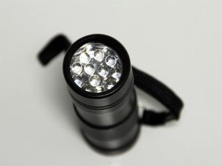 12 LED UV Licht Taschenlampen-Papst.de